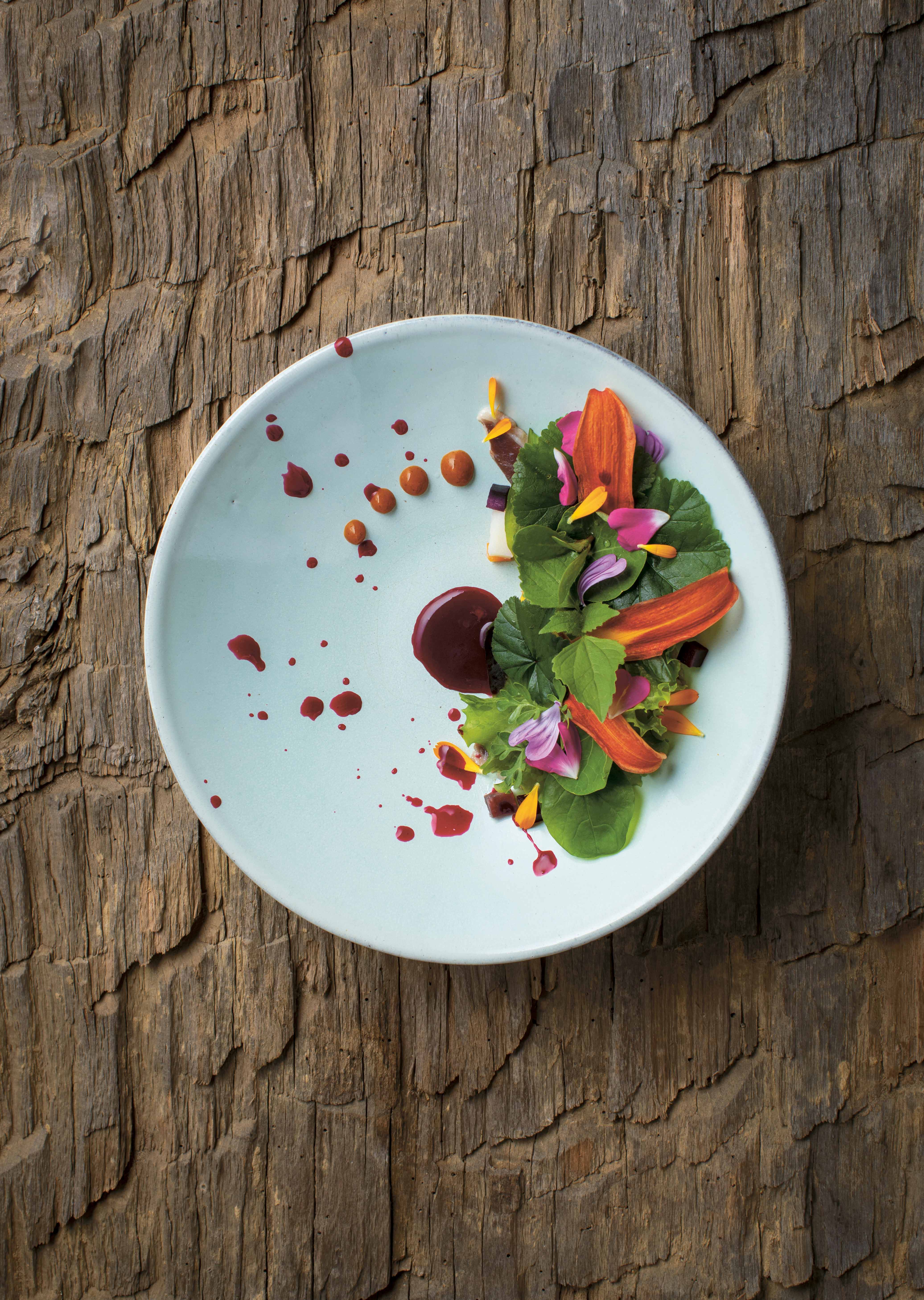 Sun and Rain by Ana Roš - A chef’s story in recipes, memories, and wild terrain.