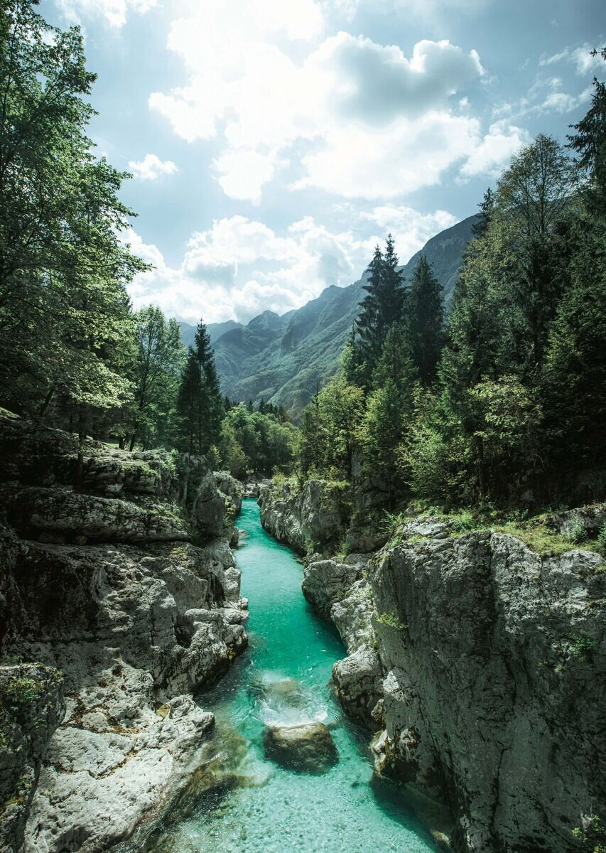 Sonce in dež, Ana Roš - Osebna in kulinarična pripoved skozi recepte, spomine in divjo lepoto pokrajine.
